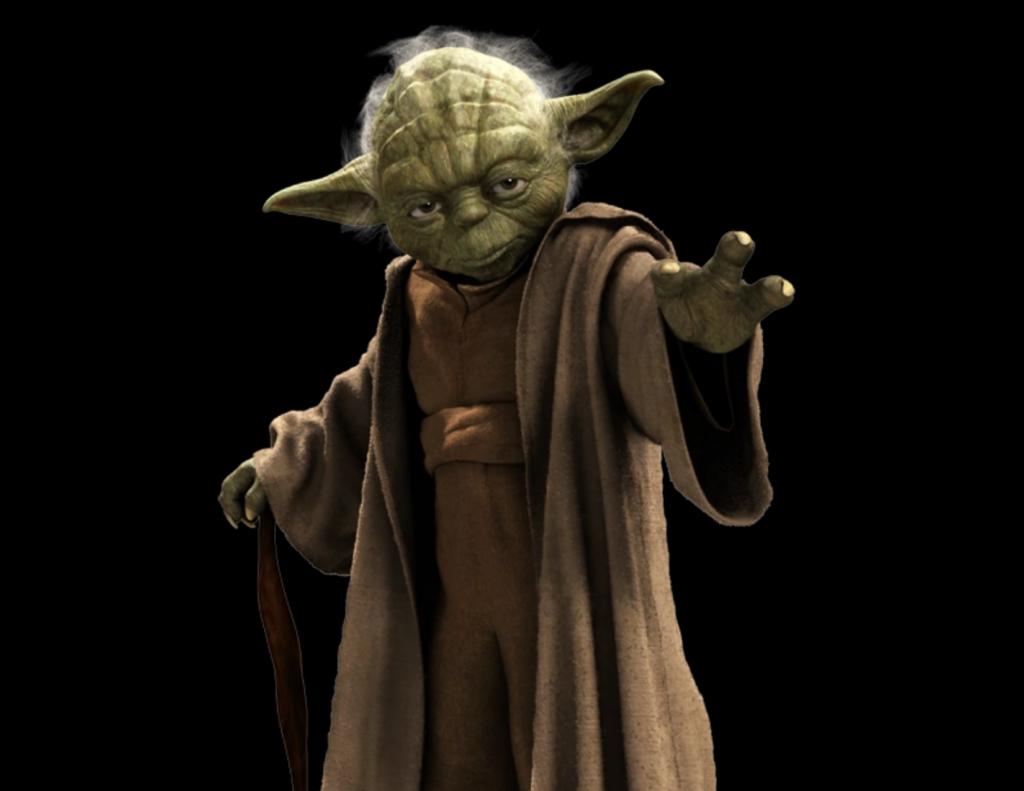 Finding Your Yoda: The Value of Mentorship